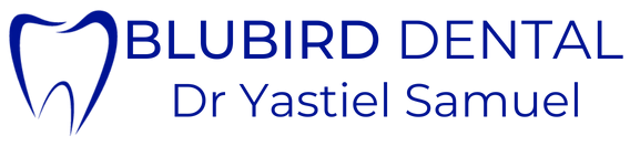 Blubird Dental Logo